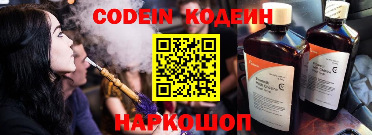 A PVP Можга