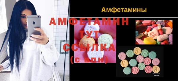 гидра Аркадак