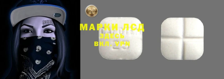 гидра Аркадак