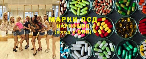 гашик Арсеньев