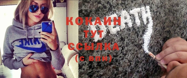 гашик Арсеньев
