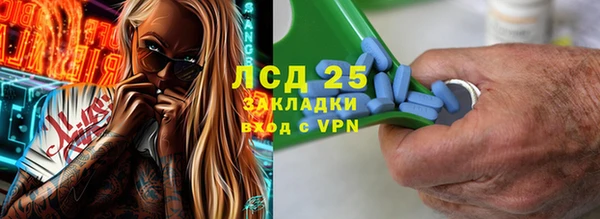 гидра Аркадак