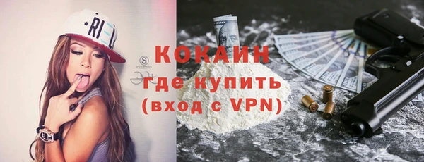 гашик Арсеньев
