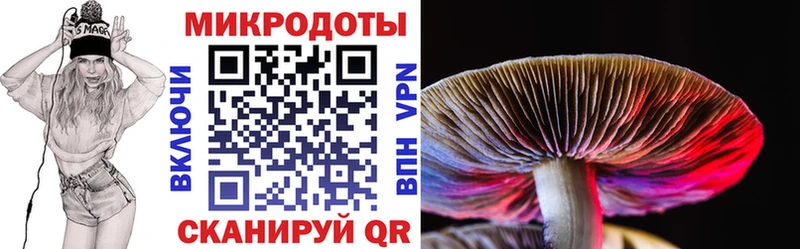 где найти   Можга  Галлюциногенные грибы Psilocybine cubensis 