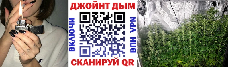 Бошки Шишки сатива  где купить наркоту  blacksprut ссылка  Можга 