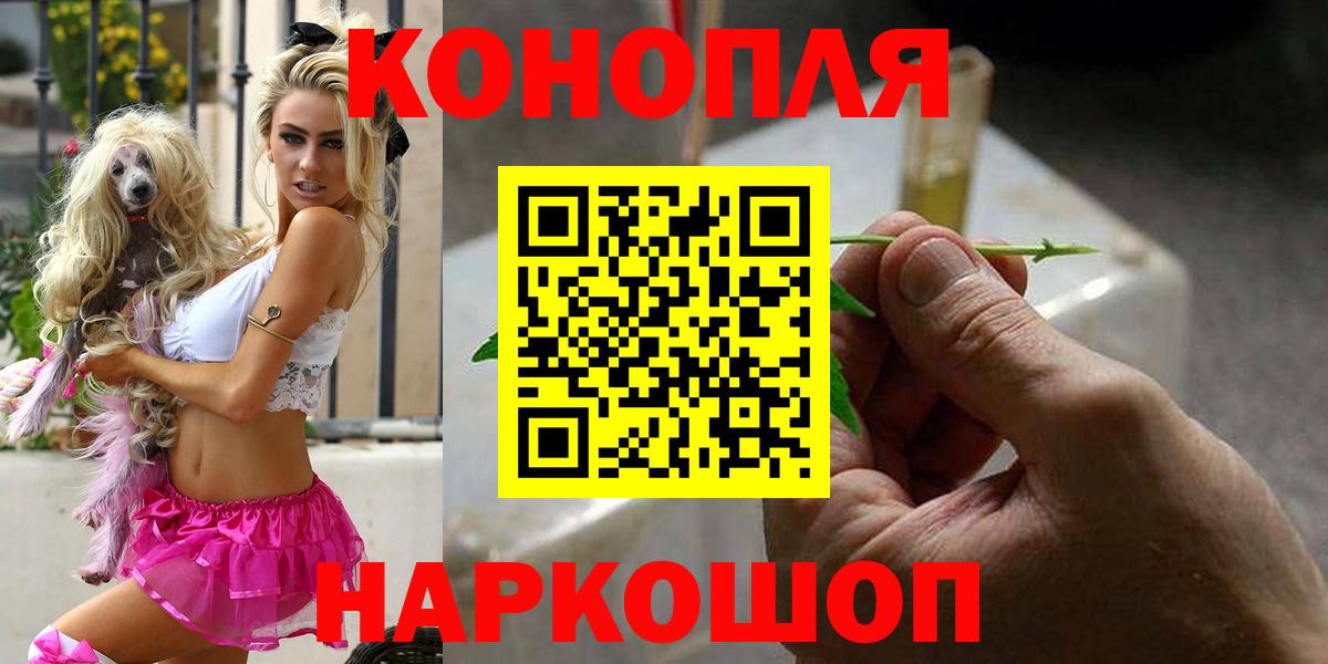 Канабис сатива Можга